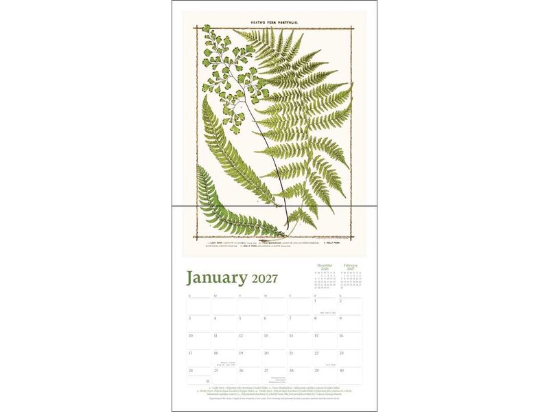 simon & schuster New York Botanical Garden 2027 Wall Calendar