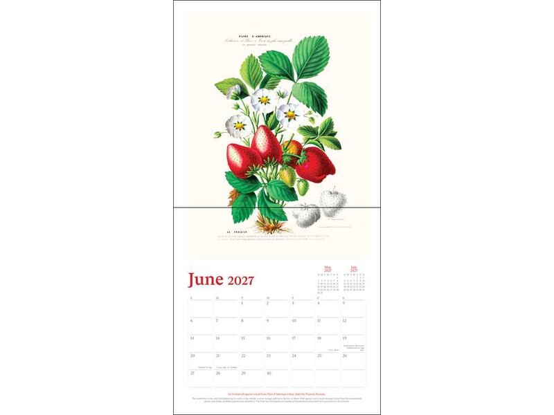 simon & schuster New York Botanical Garden 2027 Wall Calendar