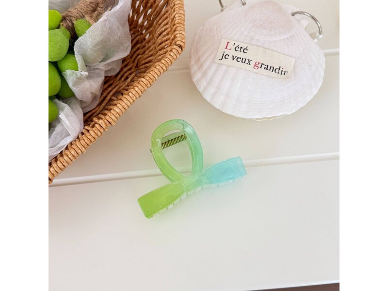 SoapElenGlen Gradient Candy Tone Bow Hair Claw Clip