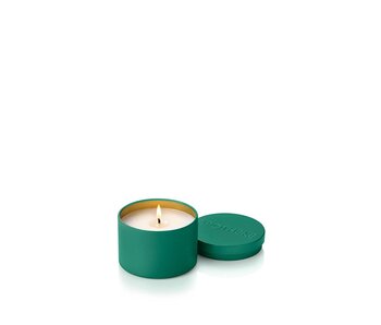 Wild Mint and Ivy Mini Tin Candle