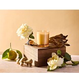 Apotheke Cedarwood Ginger Petite Candle