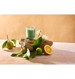 Apotheke Orange Blossom Neroli Petite Candle