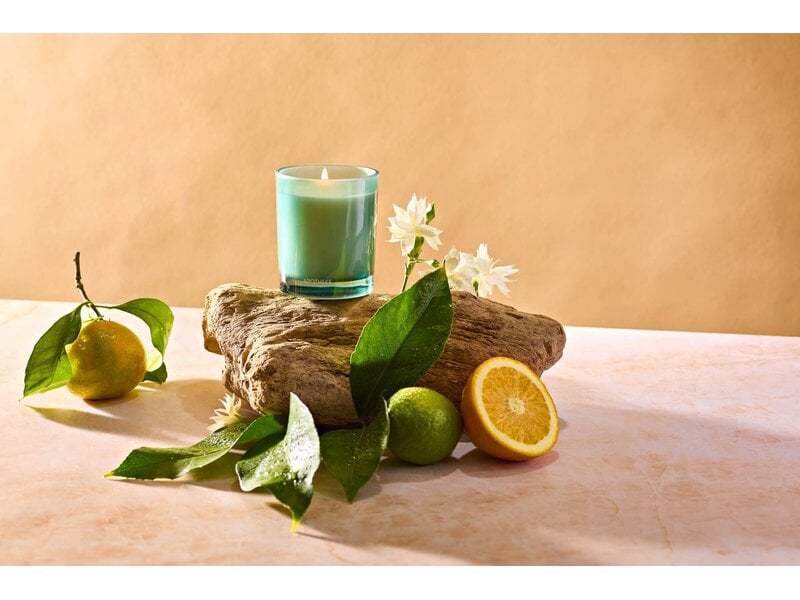 Apotheke Orange Blossom Neroli Petite Candle