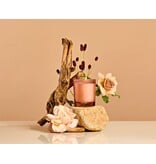 Apotheke Santal Rock Rose Petite Candle