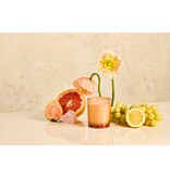 Apotheke Sea Salt Grapefruit Petite Candle