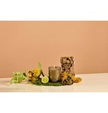 Apotheke White Vetiver Petite Candle