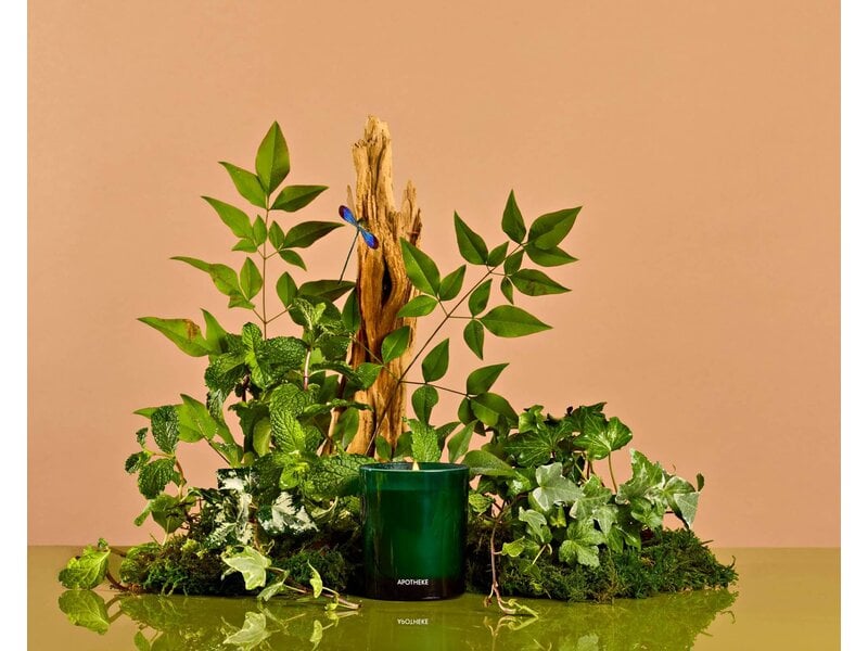Apotheke Wild Mint and Ivy Petite Candle