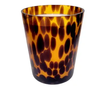 Welcome Home Amber Tortoise Soy Blend Candle