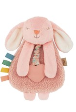 Itzy Ritzy Itzy Lovey™ Bunny Plush with Silicone Teether Toy