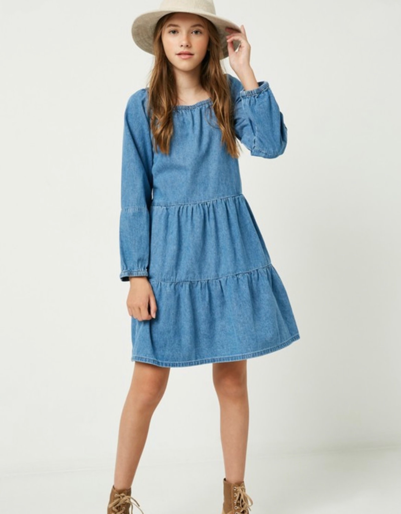 Hayden Gracen Denim Dress