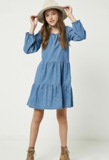 Hayden Gracen Denim Dress