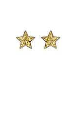 Star Stud Earring