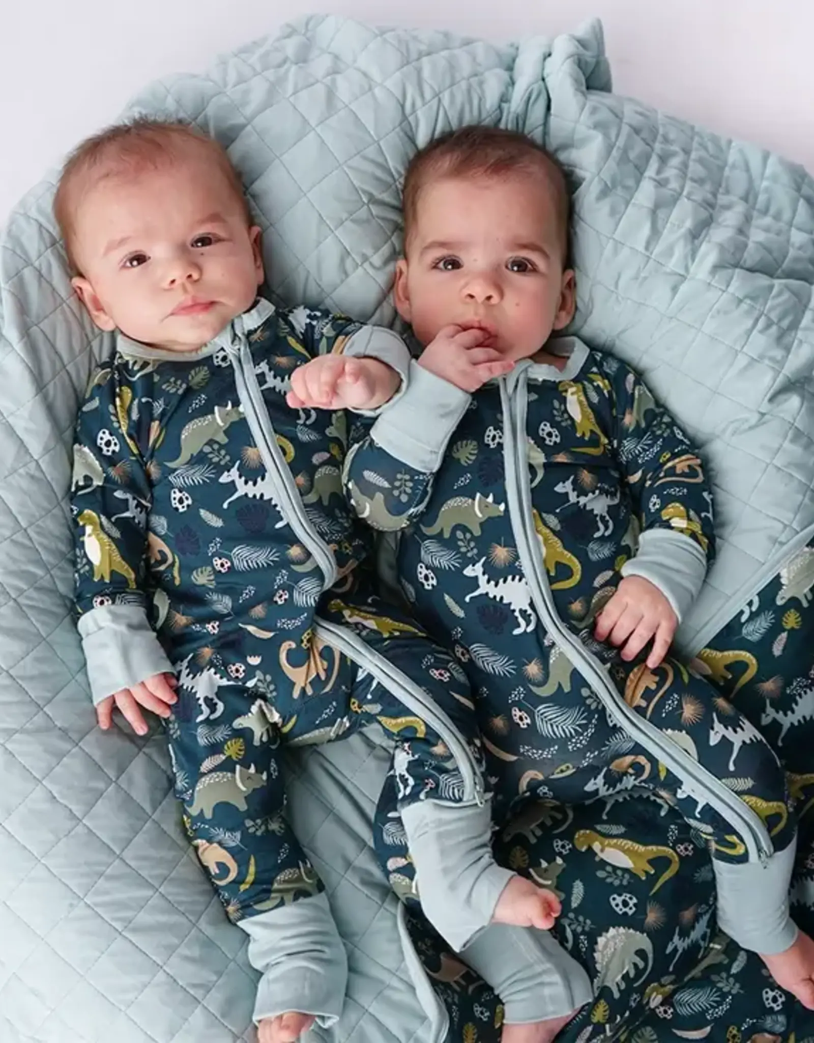 Emerson and Friends Prehistoric Dinosaur Bamboo Pajamas