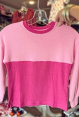 Hayden Amy ColorBlock Top in Pink