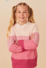 Hayden Eden Sweater in Pink