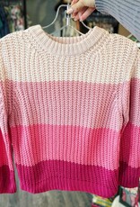 Hayden Eden Sweater in Pink