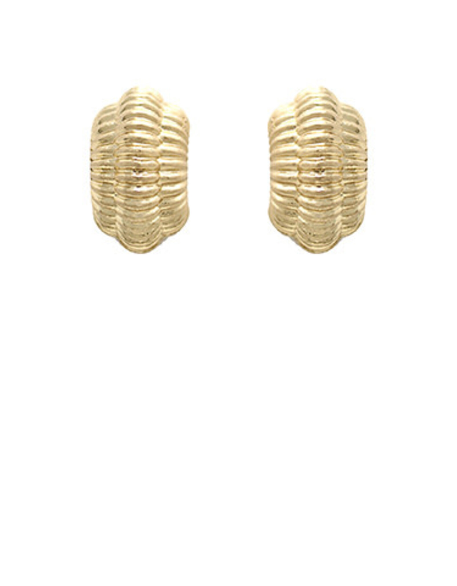 Curved Texture Metal Earring