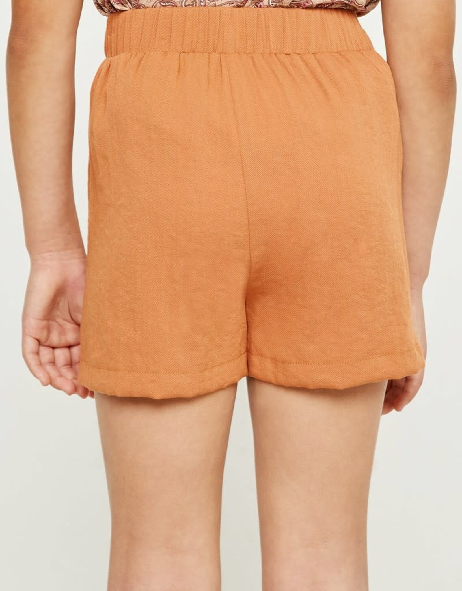 Hayden Kasey Skirt in Rust
