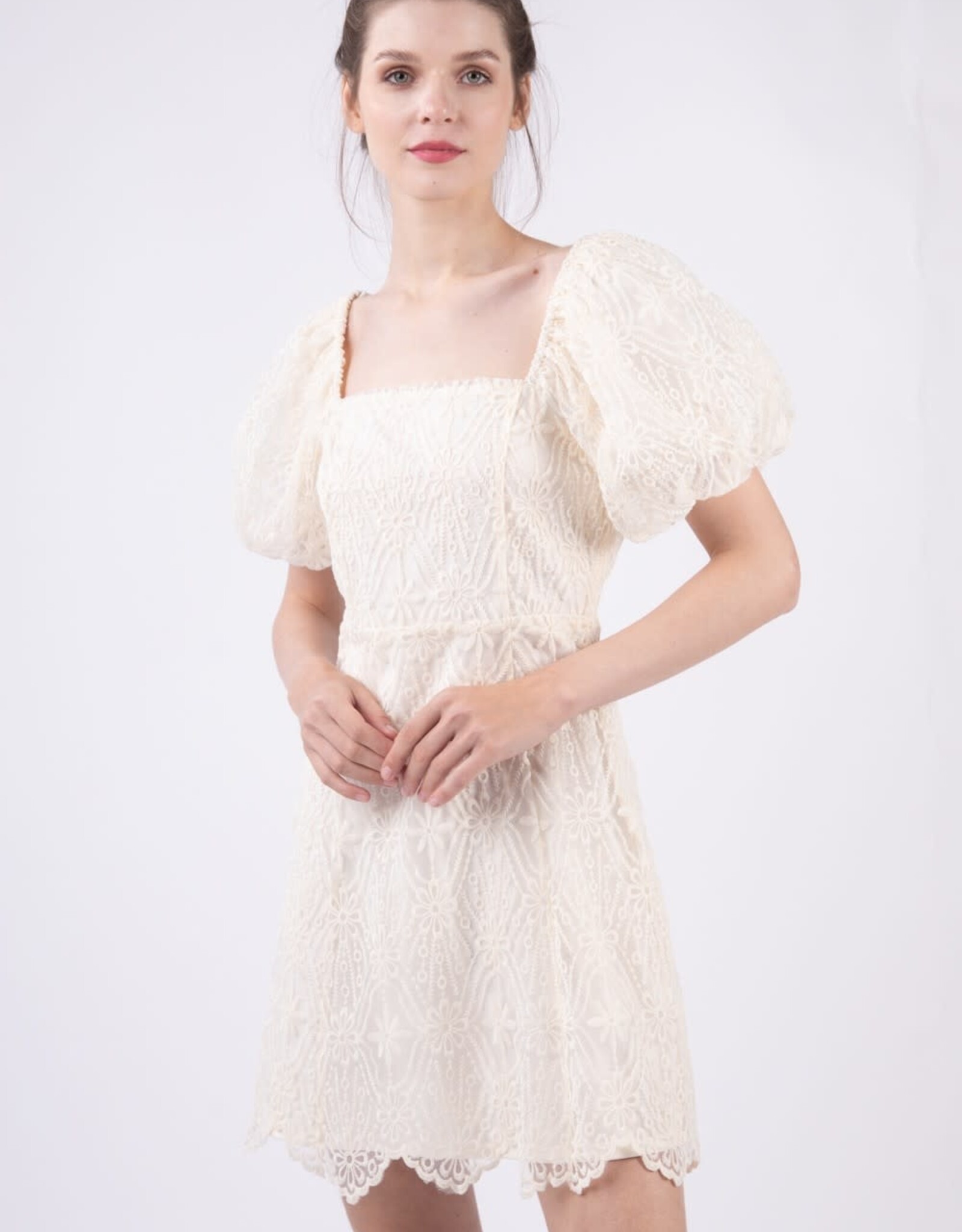 Paige Dress in White Lace