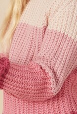 Hayden Eden Sweater in Pink