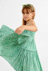 Mini Molly By Molly Bracken Lolli Woven Dress in Green Floral