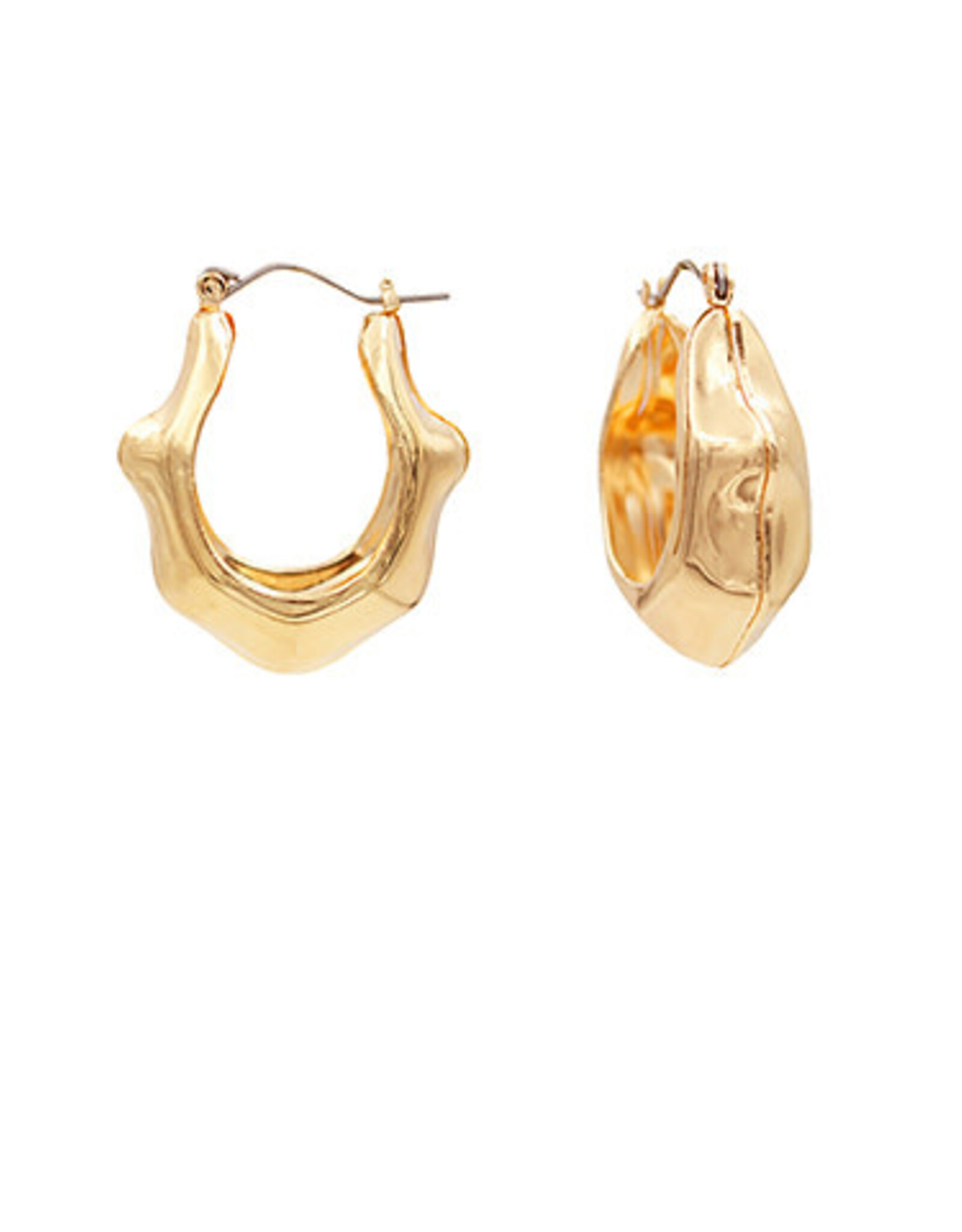 Organic Shape Hoop Earring