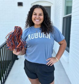 Auburn Graphic Tee in Navy