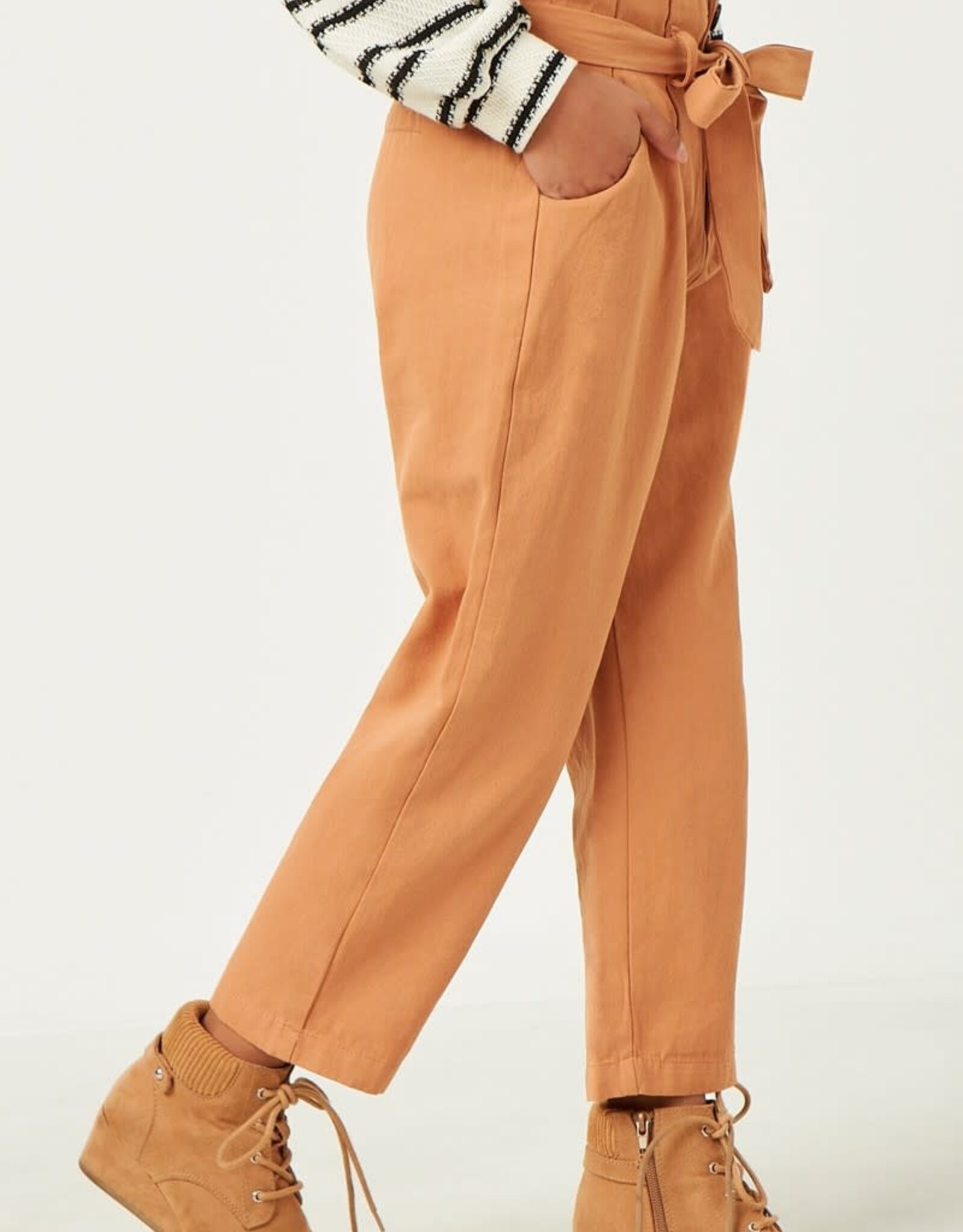 Hayden Brandy Pant in Rust