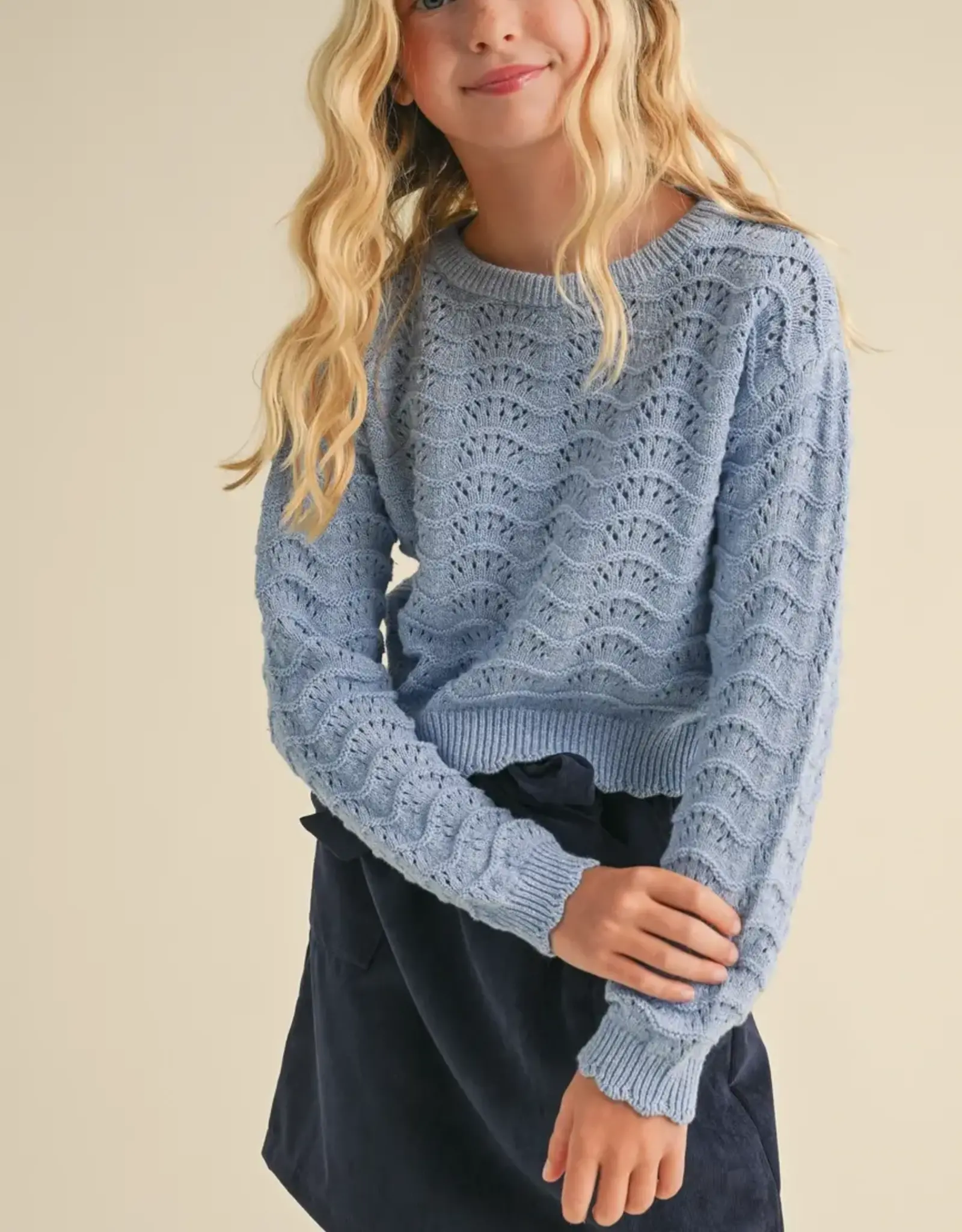 Taylor Crochet Sweater in Blue