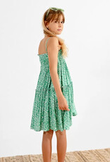 Mini Molly By Molly Bracken Lolli Woven Dress in Green Floral