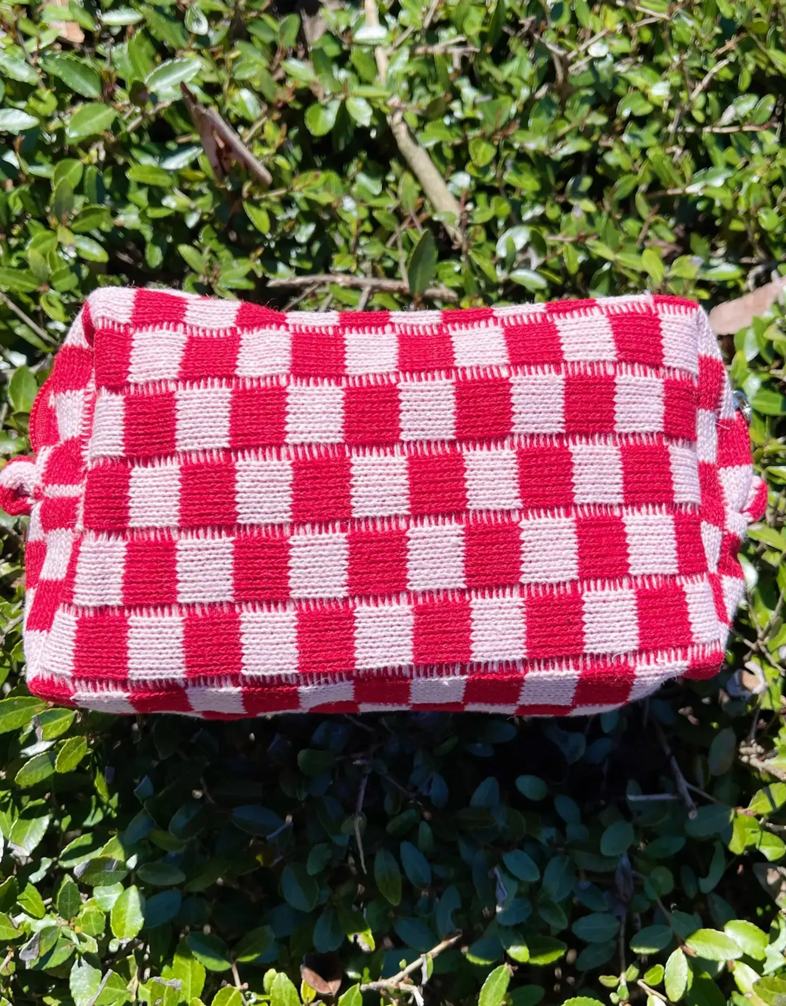 Check Yourself Cosmetic Bag in Red