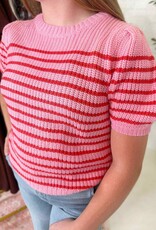 Hayden Lauren Sweater Top in Pink Stripe