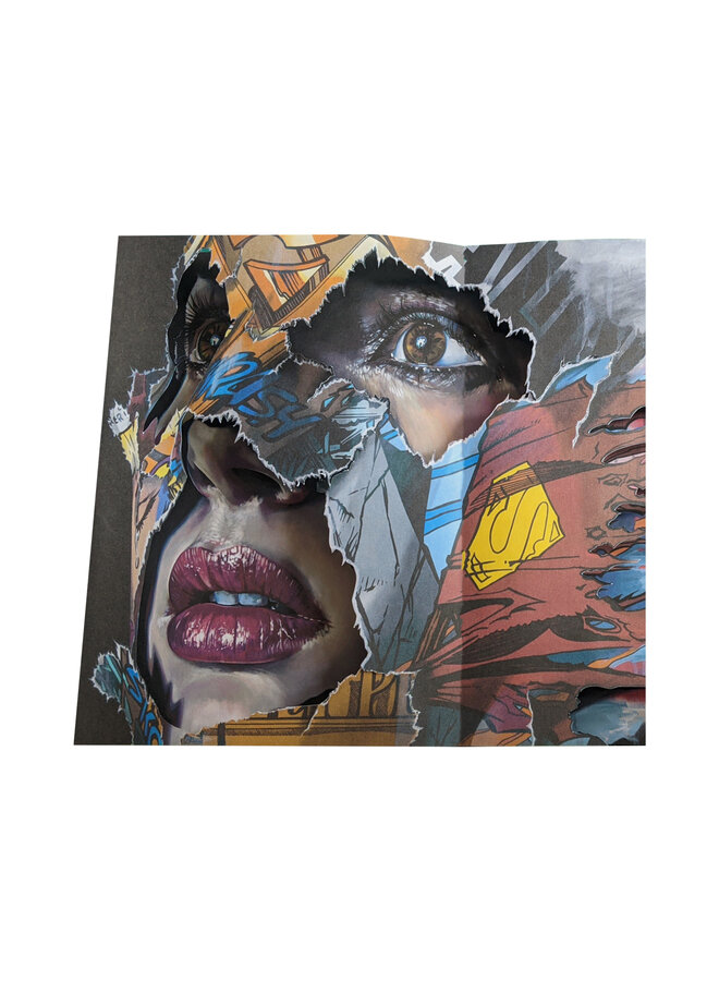 Cages: The Pop Up Book Sandra Chevrier