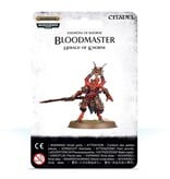 DAEMONS OF KHORNE BLOODMASTER HERALD OF KHORNE