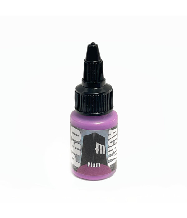 Monument Pro Acryl Plum Paint