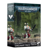BLOOD ANGELS SANGUINARY PRIEST