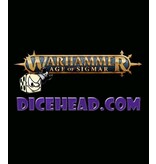 STORMCAST ETERNALS STORMCOVEN (SPECIAL REQUEST)