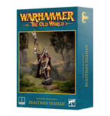 THE OLD WORLD BEASTMEN BRAYHERDS BEASTMAN SHAMAN