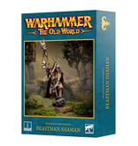THE OLD WORLD BEASTMEN BRAYHERDS BEASTMAN SHAMAN