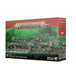 SKAVEN SKRYRE WARPSWARM BATTLEFORCE (ADD $3 S&H)