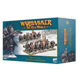 THE OLD WORLD WARRIORS OF CHAOS MARAUDERS