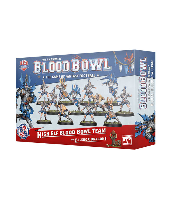 BLOOD BOWL HIGH ELF BLOOD BOWL TEAM