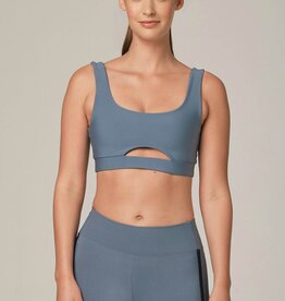 925 Fit Get in Line Bra - ActivFever