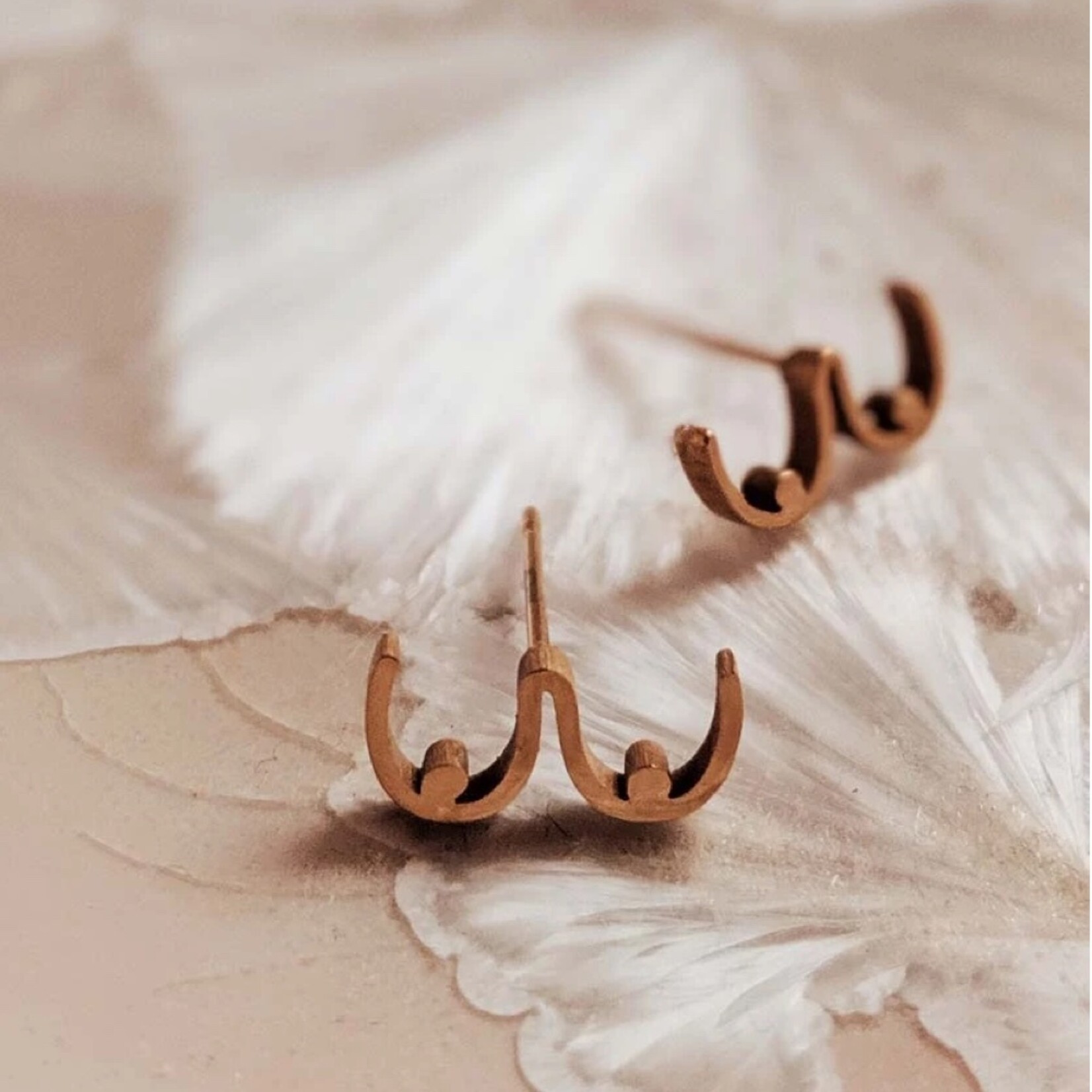Boucles d'oreilles  -  Seins Or