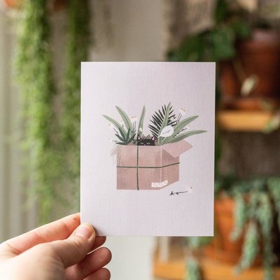 Card - Cat and plants