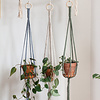 Plant Hanger Minimalist