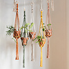 Plant hanger - Alhena