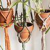 Plant hanger - Alhena