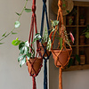 Plant hanger - Alhena