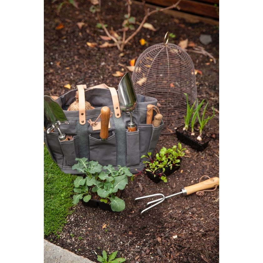 David Shaw Gardening tool (assorted)